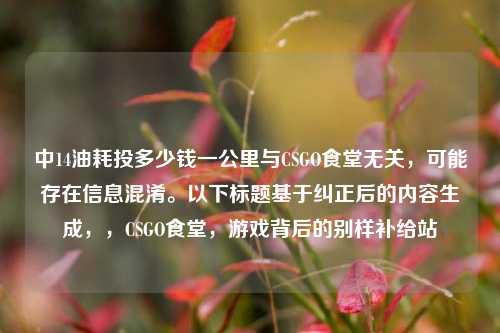 中14油耗投多少钱一公里与CSGO食堂无关，可能存在信息混淆。以下标题基于纠正后的内容生成，，CSGO食堂，游戏背后的别样补给站