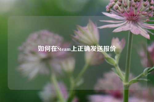 如何在Steam上正确发送报价