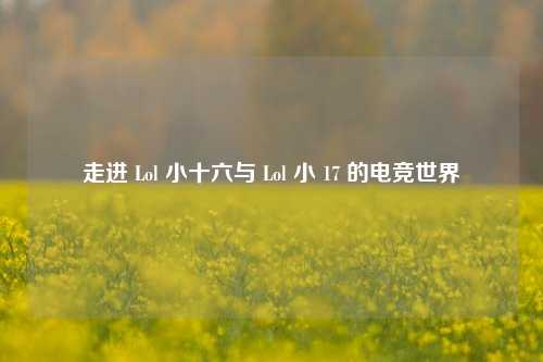走进 Lol 小十六与 Lol 小 17 的电竞世界