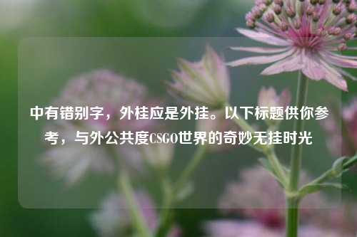 中有错别字，外桂应是外挂。以下标题供你参考，与外公共度CSGO世界的奇妙无挂时光