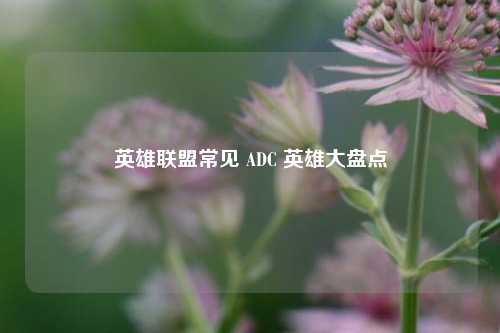 英雄联盟常见 ADC 英雄大盘点