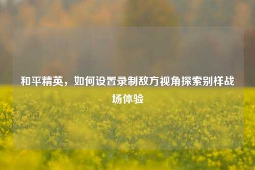 和平精英,如何设置录制敌方视角探索别样战场体验