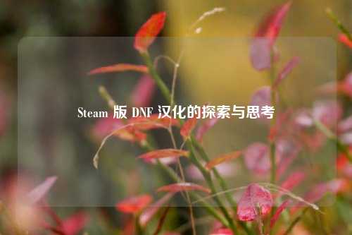 Steam 版 DNF 汉化的探索与思考