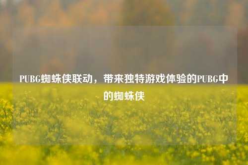 PUBG蜘蛛侠联动，带来独特游戏体验的PUBG中的蜘蛛侠