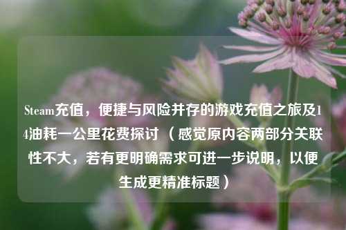Steam充值,便捷与风险并存的游戏充值之旅及14油耗一公里花费探讨 (感觉原内容两部分关联性不大,若有更明确需求可进一步说明,以便生成更精准标题)