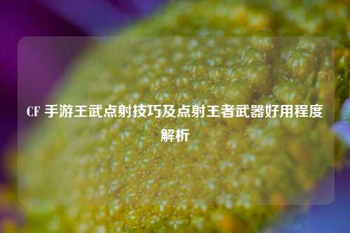 CF 手游王武点射技巧及点射王者武器好用程度解析