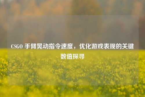 CSGO 手臂晃动指令速度，优化游戏表现的关键数值探寻