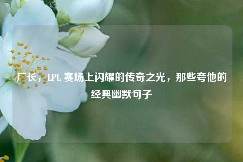 厂长,LPL 赛场上闪耀的传奇之光,那些夸他的经典幽默句子