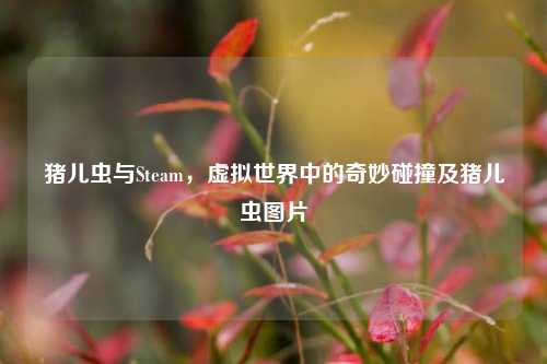 猪儿虫与Steam，虚拟世界中的奇妙碰撞及猪儿虫图片