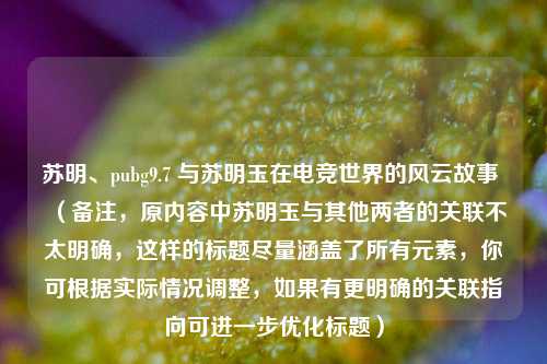苏明、pubg9.7 与苏明玉在电竞世界的风云故事 （备注，原内容中苏明玉与其他两者的关联不太明确，这样的标题尽量涵盖了所有元素，你可根据实际情况调整，如果有更明确的关联指向可进一步优化标题）