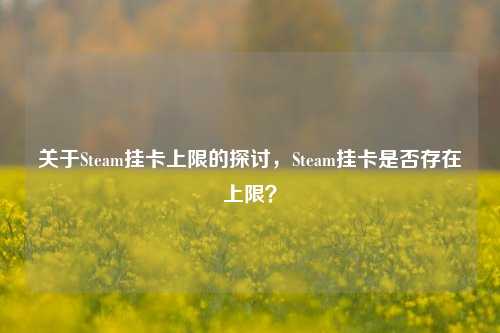 关于Steam挂卡上限的探讨,Steam挂卡是否存在上限?