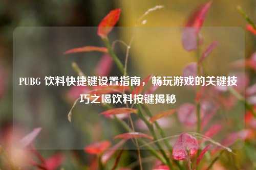 PUBG 饮料快捷键设置指南,畅玩游戏的关键技巧之喝饮料按键揭秘