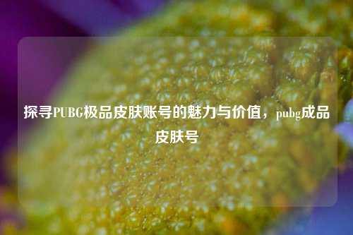 探寻PUBG极品皮肤账号的魅力与价值,pubg成品皮肤号