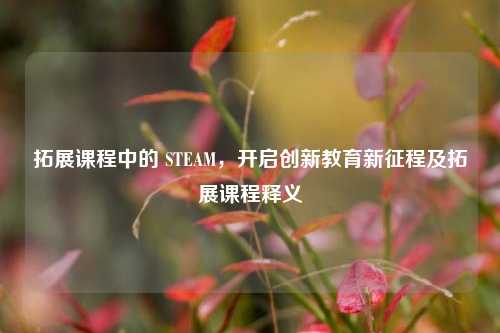 拓展课程中的 STEAM，开启创新教育新征程及拓展课程释义