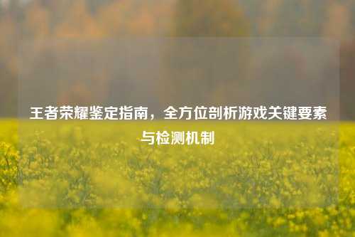 王者荣耀鉴定指南,全方位剖析游戏关键要素与检测机制