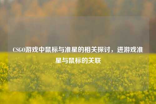 CSGO游戏中鼠标与准星的相关探讨,进游戏准星与鼠标的关联