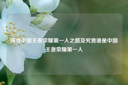探寻中国王者荣耀第一人之路及究竟谁是中国王者荣耀第一人