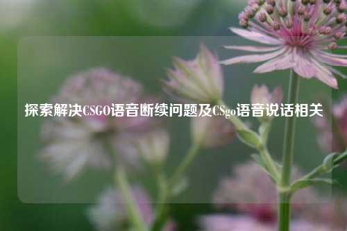 探索解决CSGO语音断续问题及CSgo语音说话相关