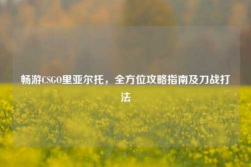 畅游CSGO里亚尔托，全方位攻略指南及刀战打法