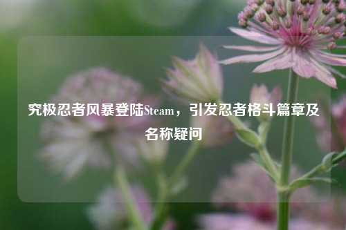 究极忍者风暴登陆Steam，引发忍者格斗篇章及名称疑问