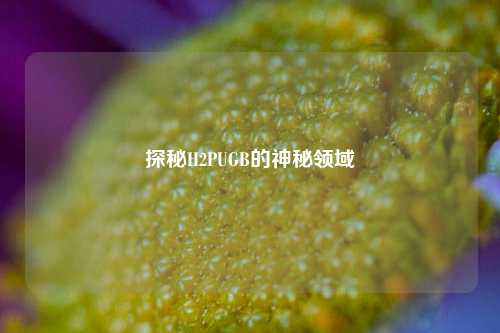 探秘H2PUGB的神秘领域