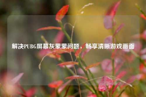 解决PUBG屏幕灰蒙蒙问题，畅享清晰游戏画面