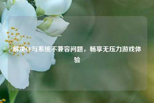 解决CF与系统不兼容问题，畅享无压力游戏体验