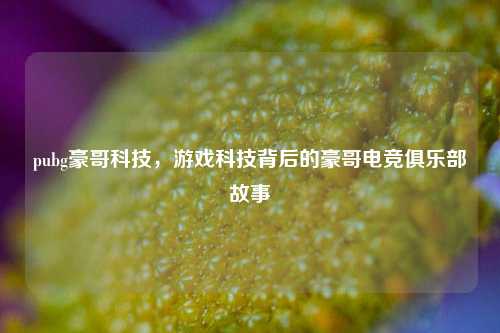 pubg豪哥科技,游戏科技背后的豪哥电竞俱乐部故事