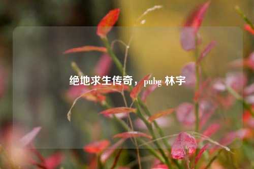 绝地求生传奇,pubg 林宇