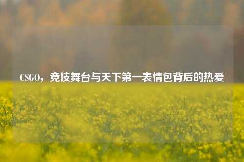 CSGO,竞技舞台与天下第一表情包背后的热爱