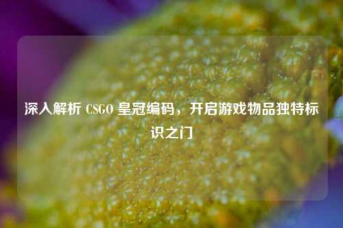 深入解析 CSGO 皇冠编码,开启游戏物品独特标识之门