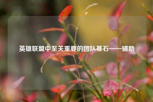英雄联盟中至关重要的团队基石——辅助