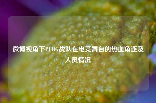微博视角下PUBG战队在电竞舞台的热血角逐及人员情况