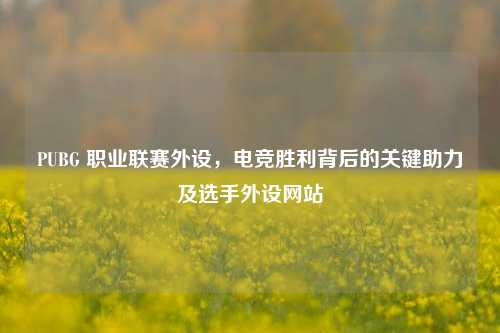 PUBG 职业联赛外设，电竞胜利背后的关键助力及选手外设网站