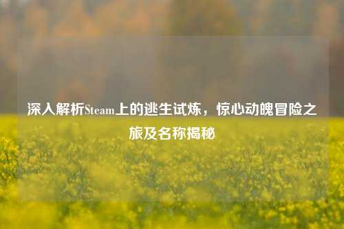 深入解析Steam上的逃生试炼，惊心动魄冒险之旅及名称揭秘