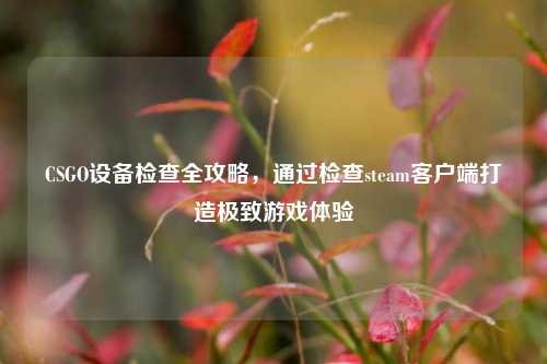 CSGO设备检查全攻略,通过检查steam客户端打造极致游戏体验