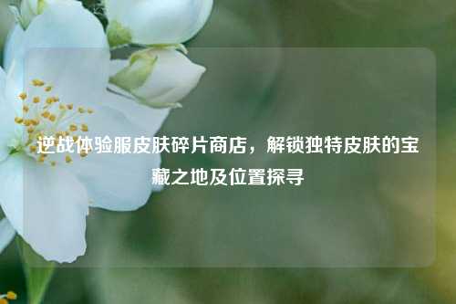 逆战体验服皮肤碎片商店,解锁独特皮肤的宝藏之地及位置探寻