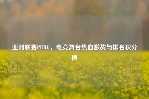 亚洲联赛PUBG,电竞舞台热血激战与排名积分榜