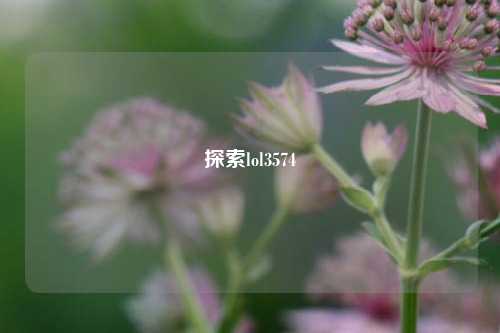 探索lol3574