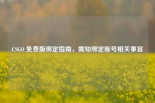 CSGO 免费版绑定指南,需知绑定账号相关事宜