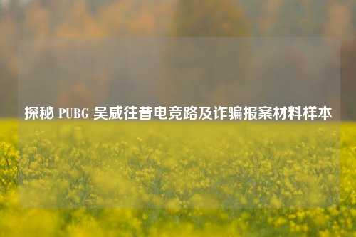 探秘 PUBG 吴威往昔电竞路及诈骗报案材料样本