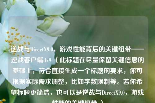 逆战与DirectX9.0,游戏性能背后的关键纽带——逆战客户端dx9 (此标题在尽量保留关键信息的基础上,符合直接生成一个标题的要求,你可根据实际需求调整,比如字数限制等。若你希望标题更简洁,也可以是逆战与DirectX9.0,游戏性能的关键纽带 )