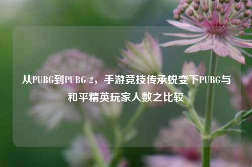 从PUBG到PUBG 2,手游竞技传承蜕变下PUBG与和平精英玩家人数之比较