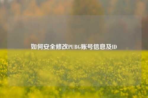 如何安全修改PUBG账号信息及ID