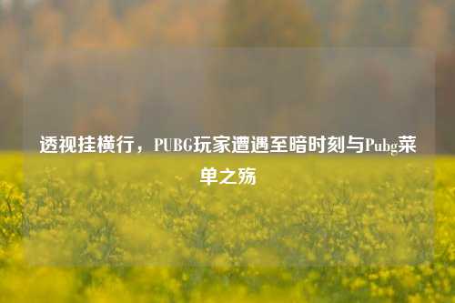透视挂横行,PUBG玩家遭遇至暗时刻与Pubg菜单之殇