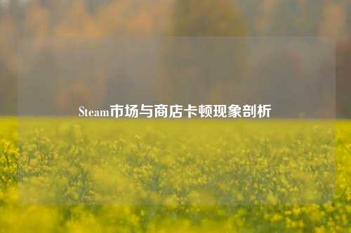 Steam市场与商店卡顿现象剖析