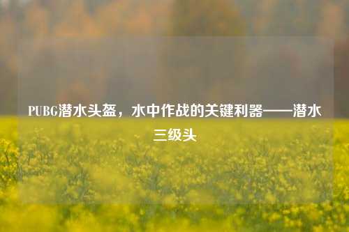 PUBG潜水头盔，水中作战的关键利器——潜水三级头