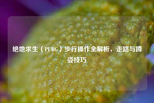 绝地求生(PUBG)步行操作全解析,走路与蹲姿技巧