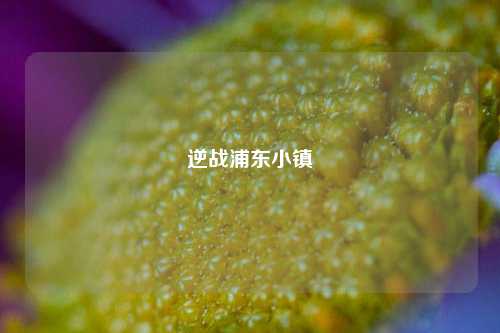 逆战浦东小镇