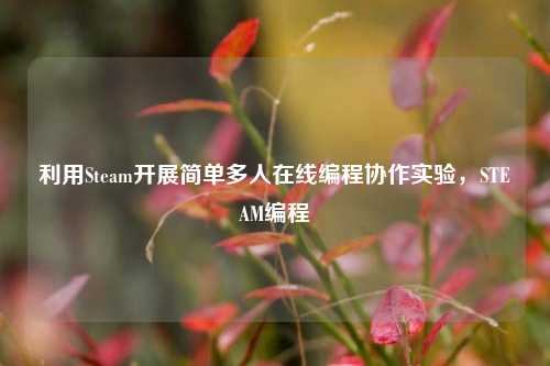 利用Steam开展简单多人在线编程协作实验，STEAM编程